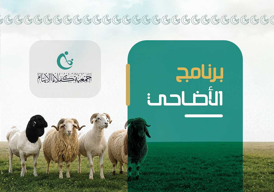 تقرير البرنامج
